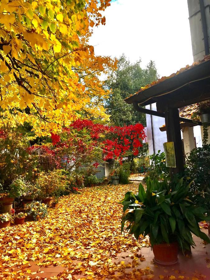 Stella Polare B&B Rieti Esterno foto