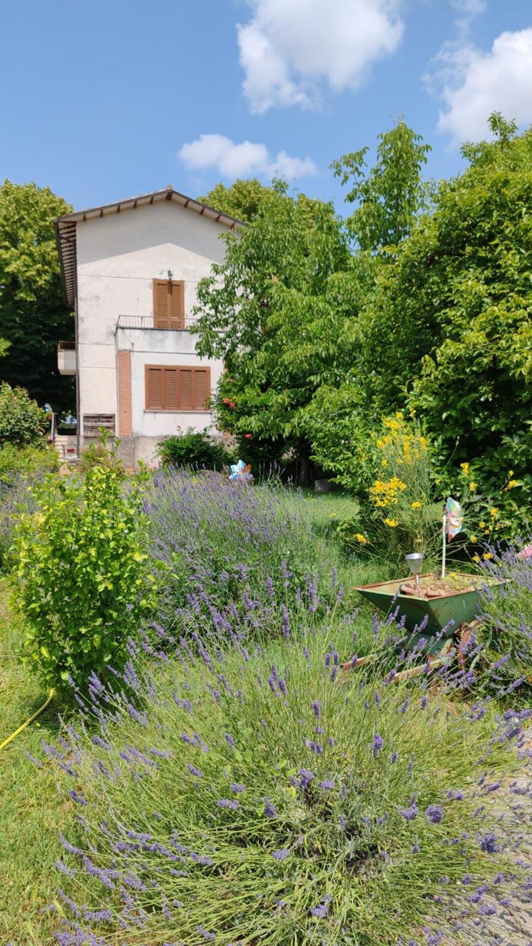 Stella Polare B&B Rieti Esterno foto